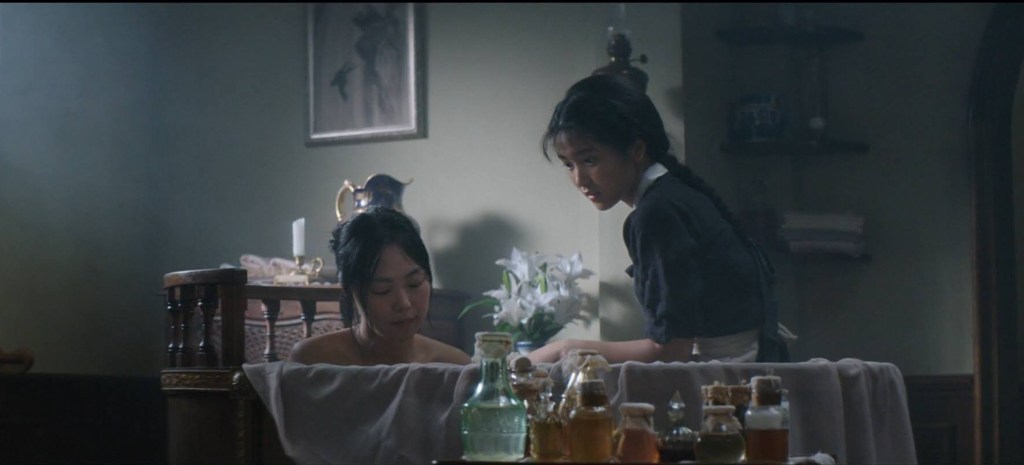 The Handmaiden ( 아가씨)